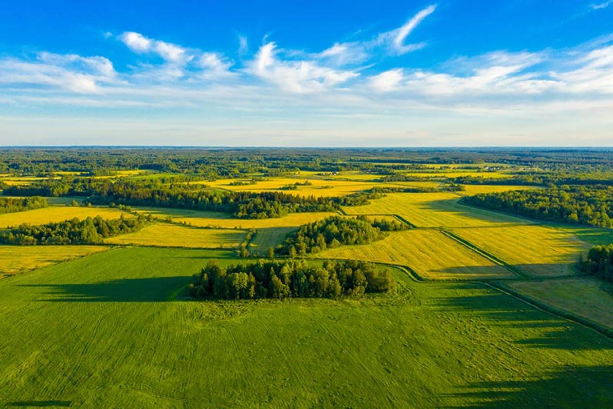aerial view of green fields